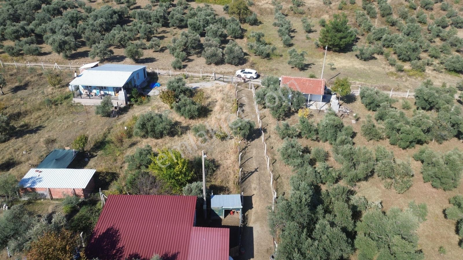 Erzden Kemalpaşa Aşağıkızılcada 430 M² Tek Tapulu Evli Bahçe — fotoğraf 6