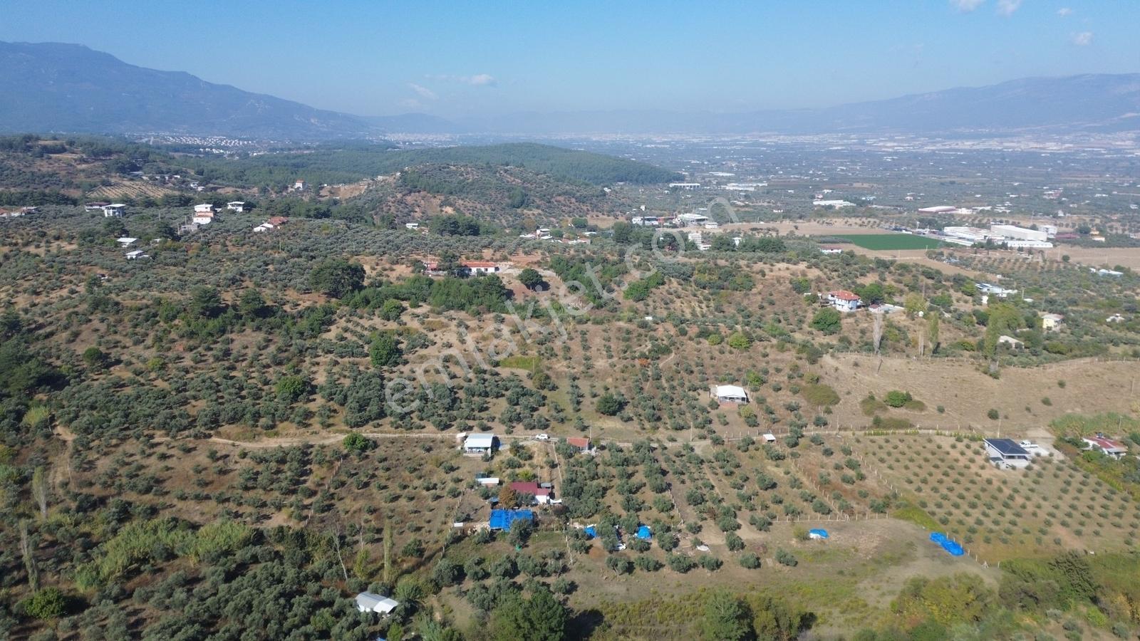 Erzden Kemalpaşa Aşağıkızılcada 430 M² Tek Tapulu Evli Bahçe — fotoğraf 7