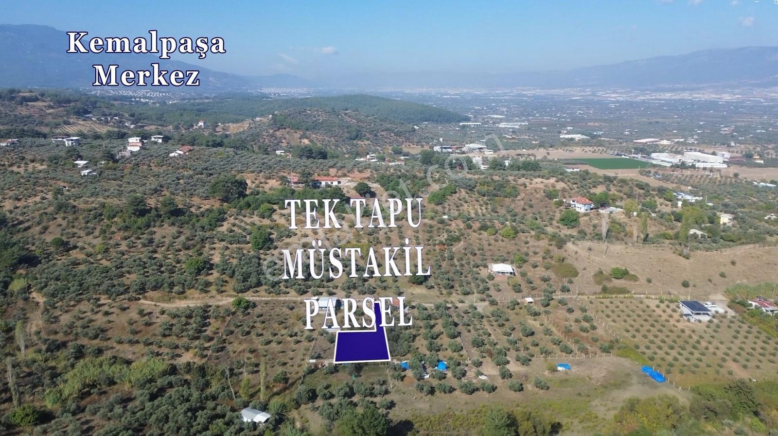 Erzden Kemalpaşa Aşağıkızılcada 430 M² Tek Tapulu Evli Bahçe — fotoğraf 8