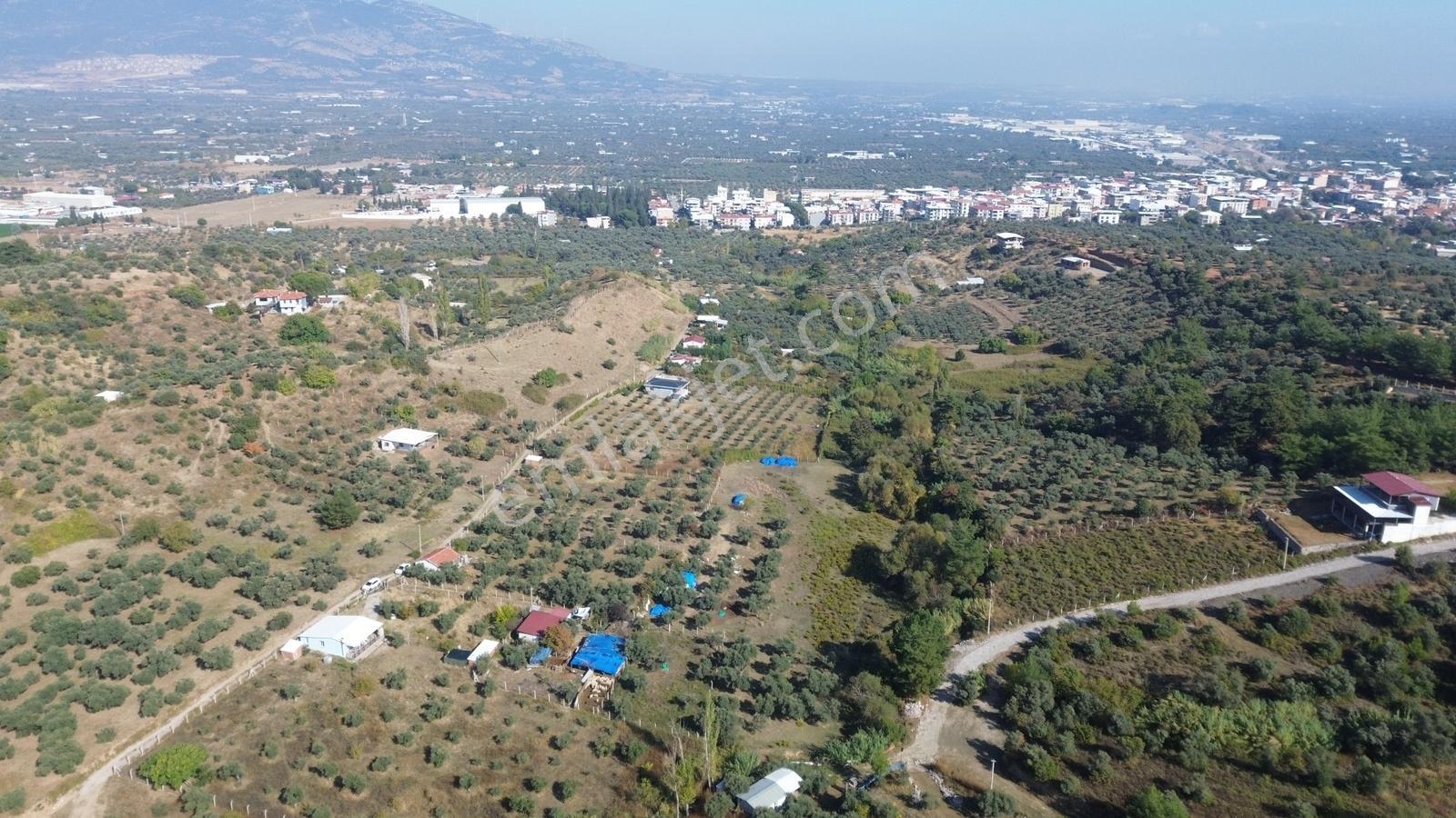 Erzden Kemalpaşa Aşağıkızılcada 430 M² Tek Tapulu Evli Bahçe — fotoğraf 15