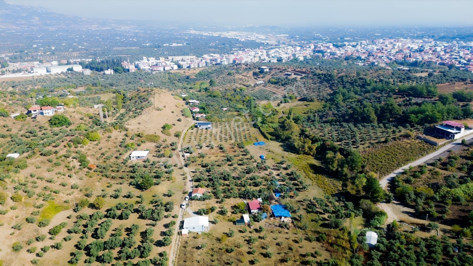 Erzden Kemalpaşa Aşağıkızılcada 430 M² Tek Tapulu Evli Bahçe — fotoğraf 16