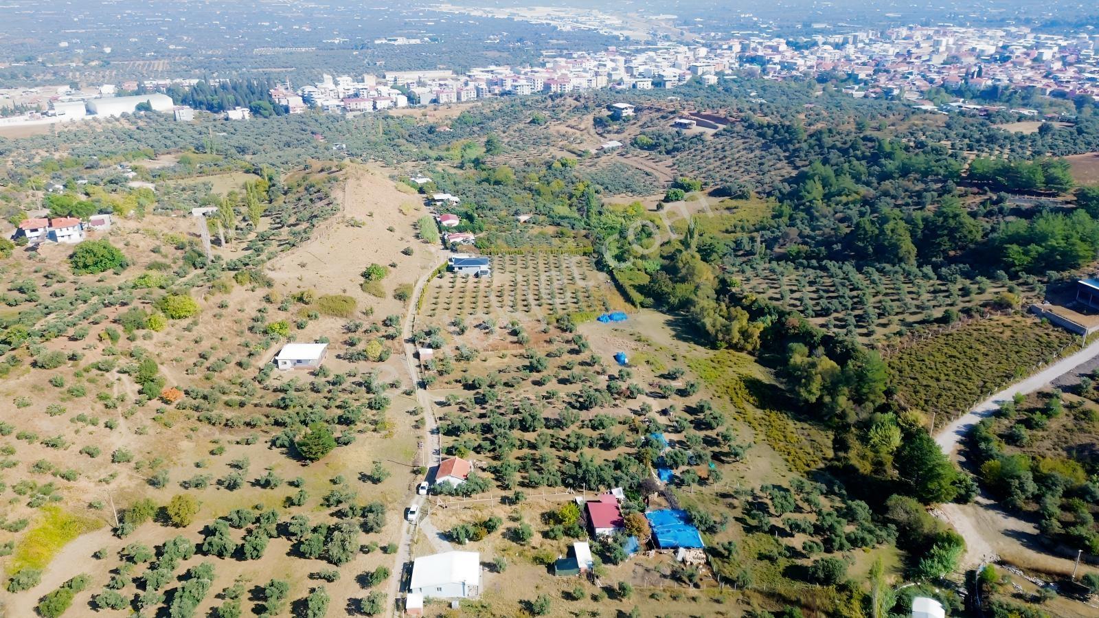 Erzden Kemalpaşa Aşağıkızılcada 430 M² Tek Tapulu Evli Bahçe — fotoğraf 17