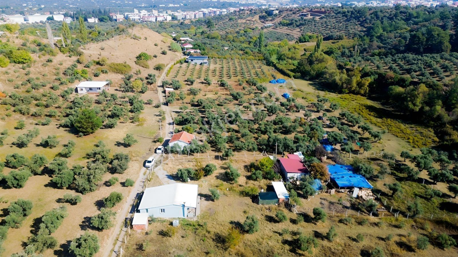 Erzden Kemalpaşa Aşağıkızılcada 430 M² Tek Tapulu Evli Bahçe — fotoğraf 18