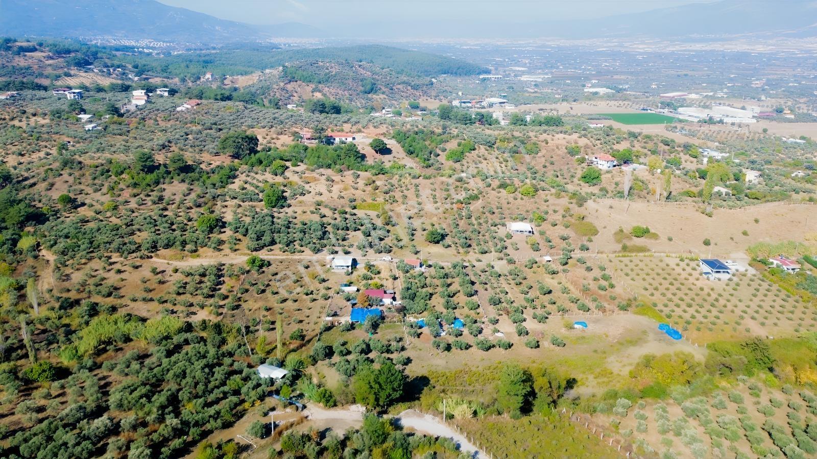 Erzden Kemalpaşa Aşağıkızılcada 430 M² Tek Tapulu Evli Bahçe — fotoğraf 19