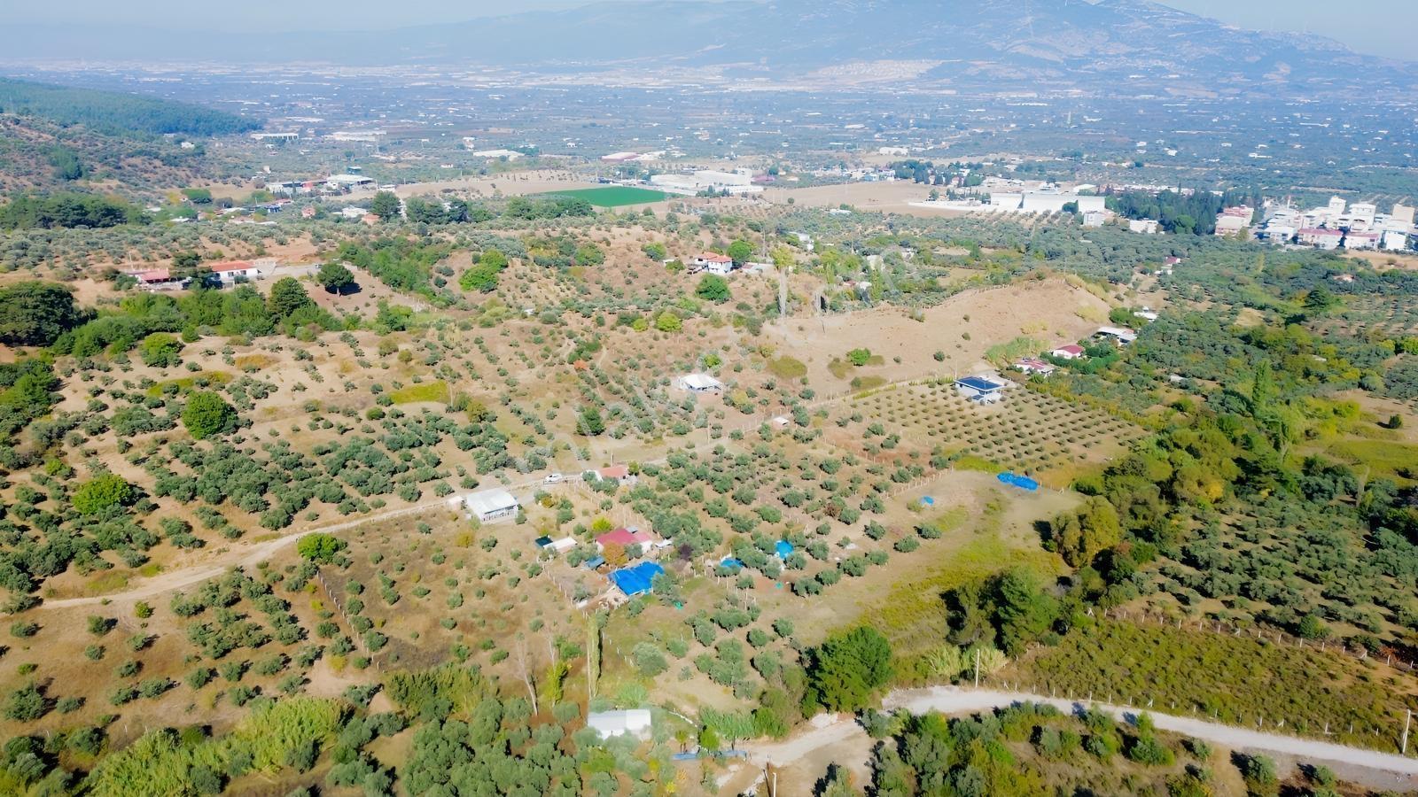 Erzden Kemalpaşa Aşağıkızılcada 430 M² Tek Tapulu Evli Bahçe — fotoğraf 20