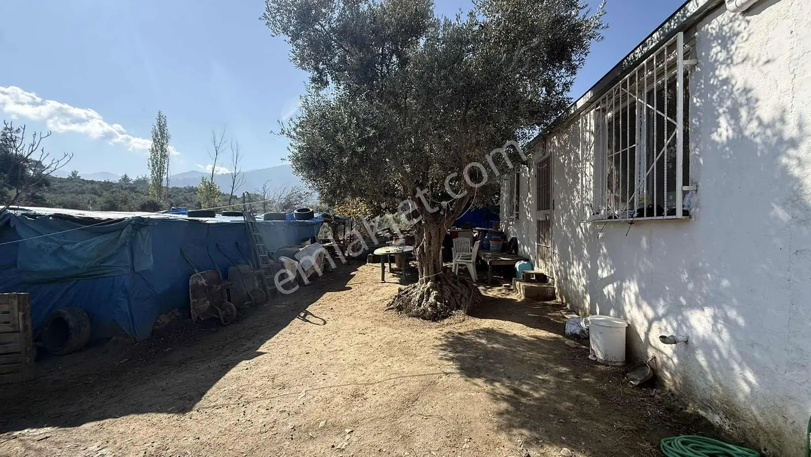 Erzden Kemalpaşa Aşağıkızılcada 430 M² Tek Tapulu Evli Bahçe — fotoğraf 23
