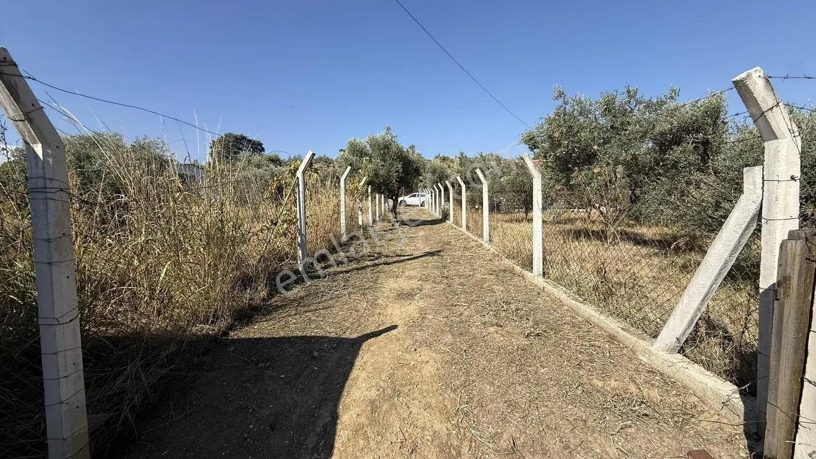 Erzden Kemalpaşa Aşağıkızılcada 430 M² Tek Tapulu Evli Bahçe — fotoğraf 29