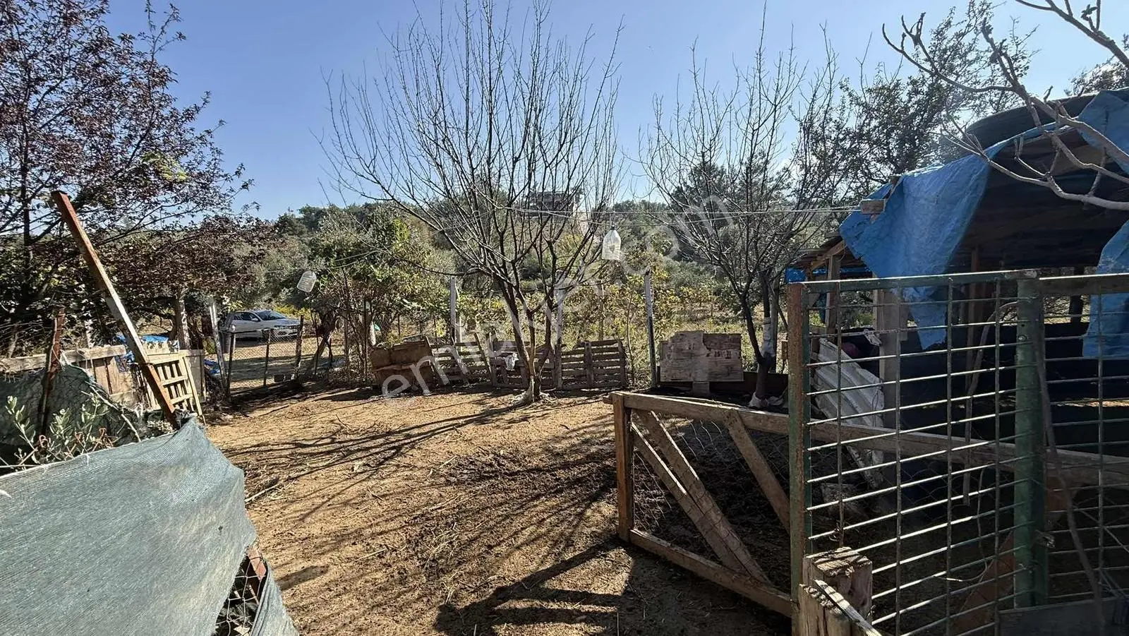 Erzden Kemalpaşa Aşağıkızılcada 430 M² Tek Tapulu Evli Bahçe — fotoğraf 30