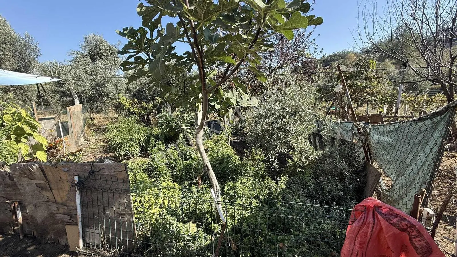Erzden Kemalpaşa Aşağıkızılcada 430 M² Tek Tapulu Evli Bahçe — fotoğraf 31
