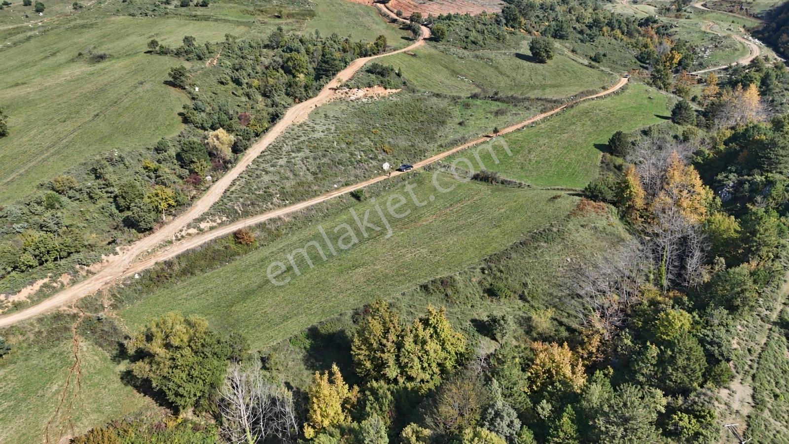 Geyve Doğantepede 6950 M2 Resmiyola Cepheli Fırsat Arazi — fotoğraf 4