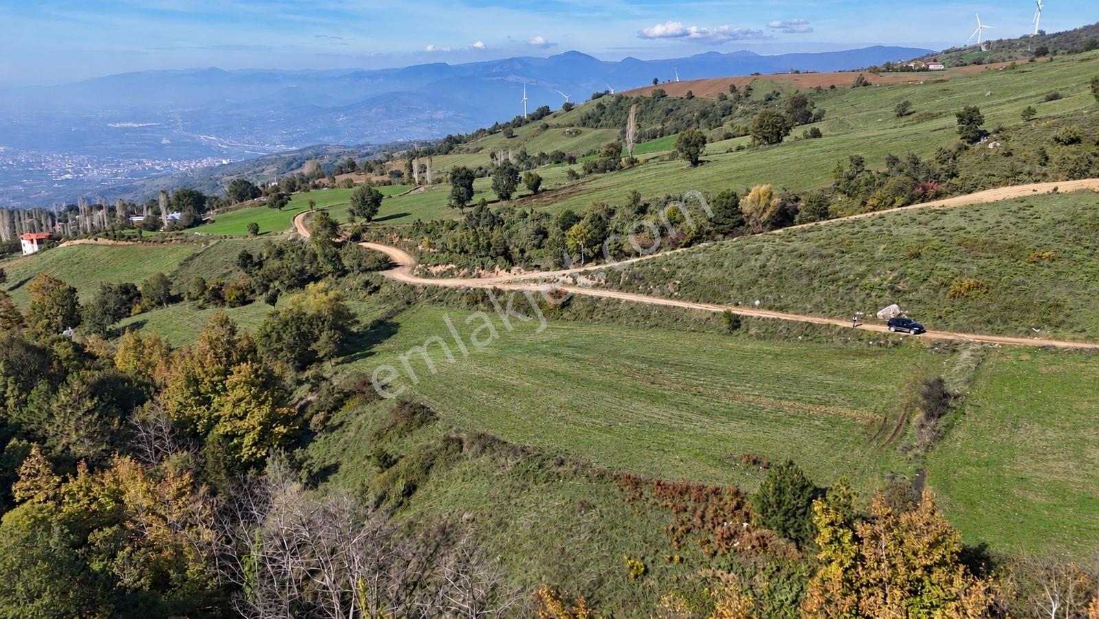 Geyve Doğantepede 6950 M2 Resmiyola Cepheli Fırsat Arazi — fotoğraf 5