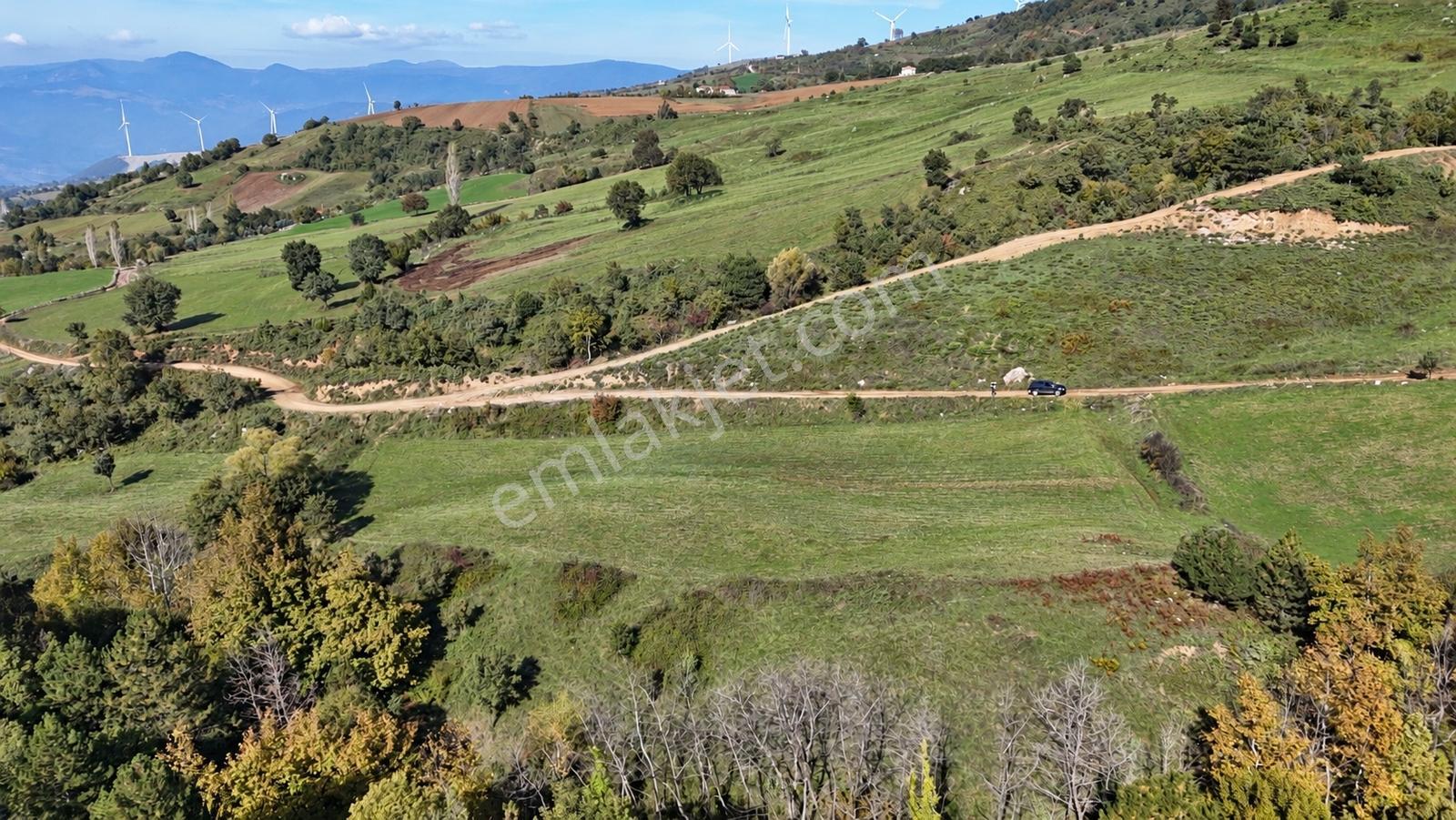 Geyve Doğantepede 6950 M2 Resmiyola Cepheli Fırsat Arazi — fotoğraf 6