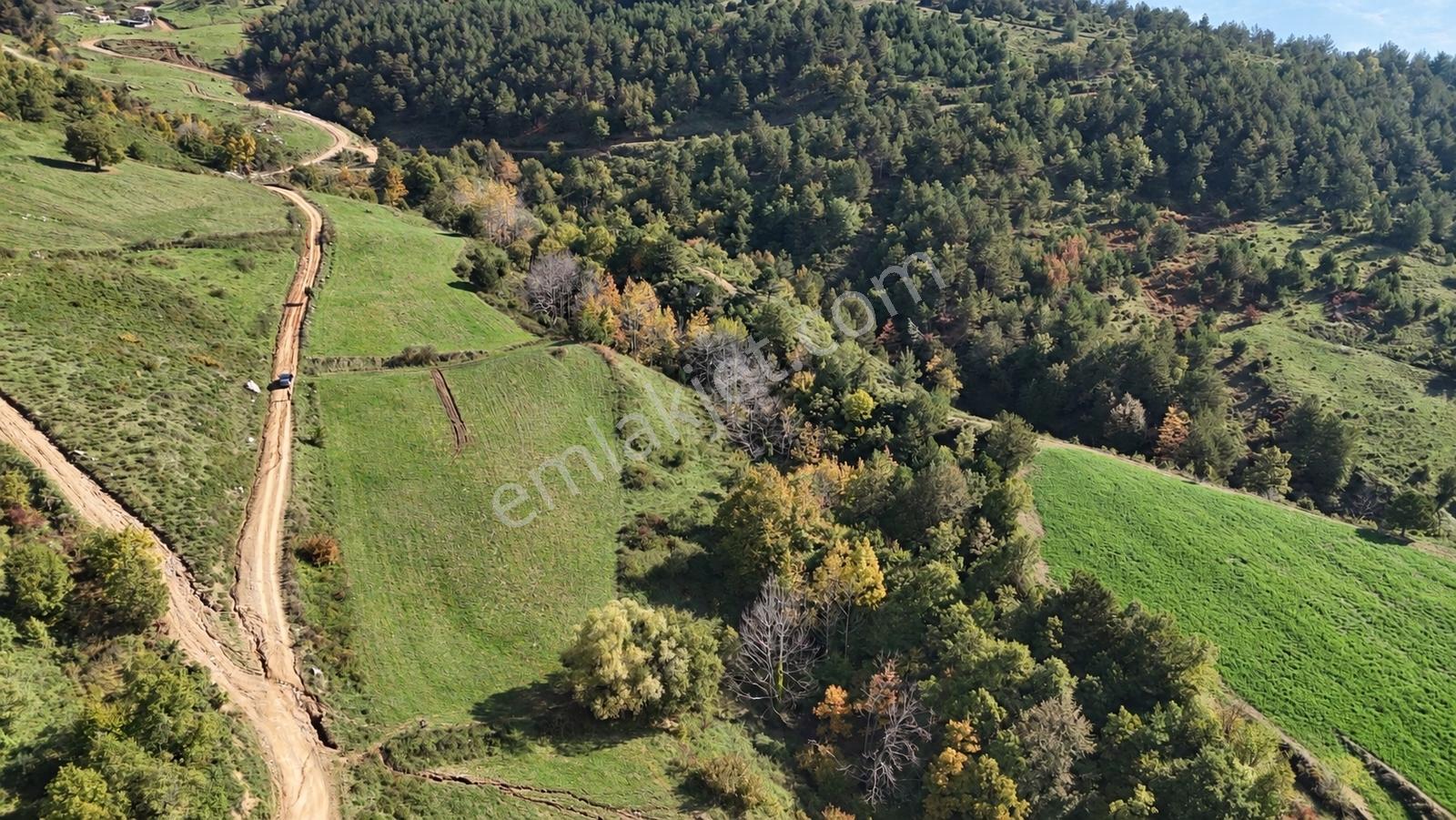 Geyve Doğantepede 6950 M2 Resmiyola Cepheli Fırsat Arazi — fotoğraf 7