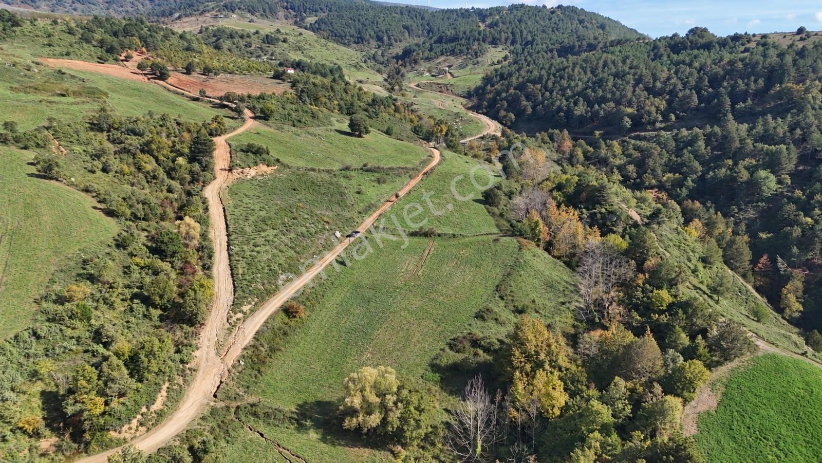 Geyve Doğantepede 6950 M2 Resmiyola Cepheli Fırsat Arazi — fotoğraf 8