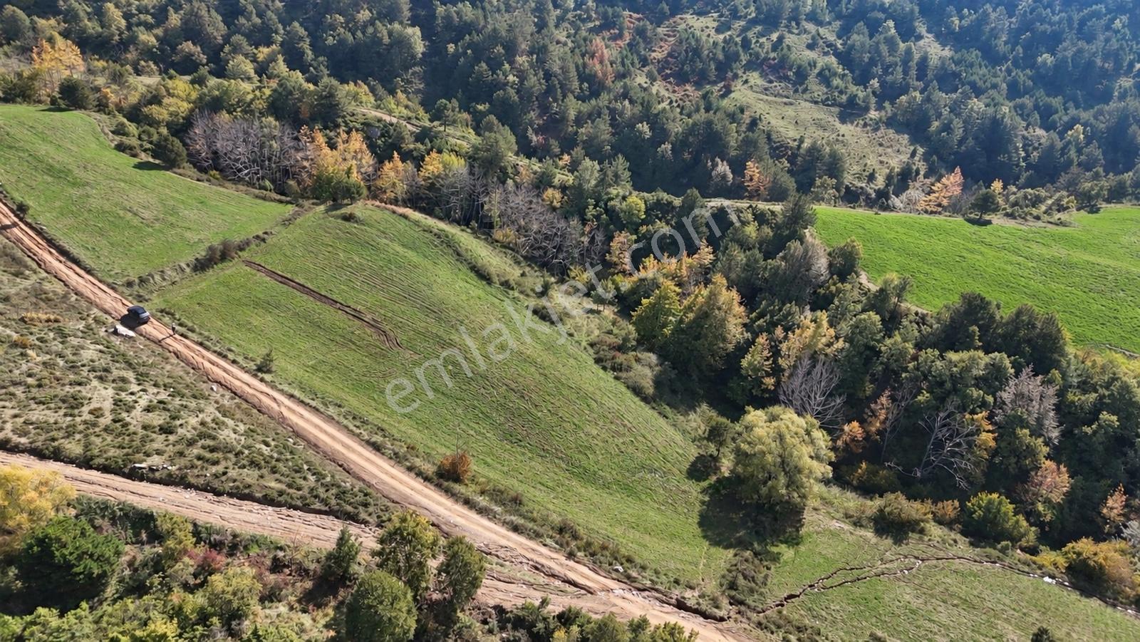 Geyve Doğantepede 6950 M2 Resmiyola Cepheli Fırsat Arazi — fotoğraf 11