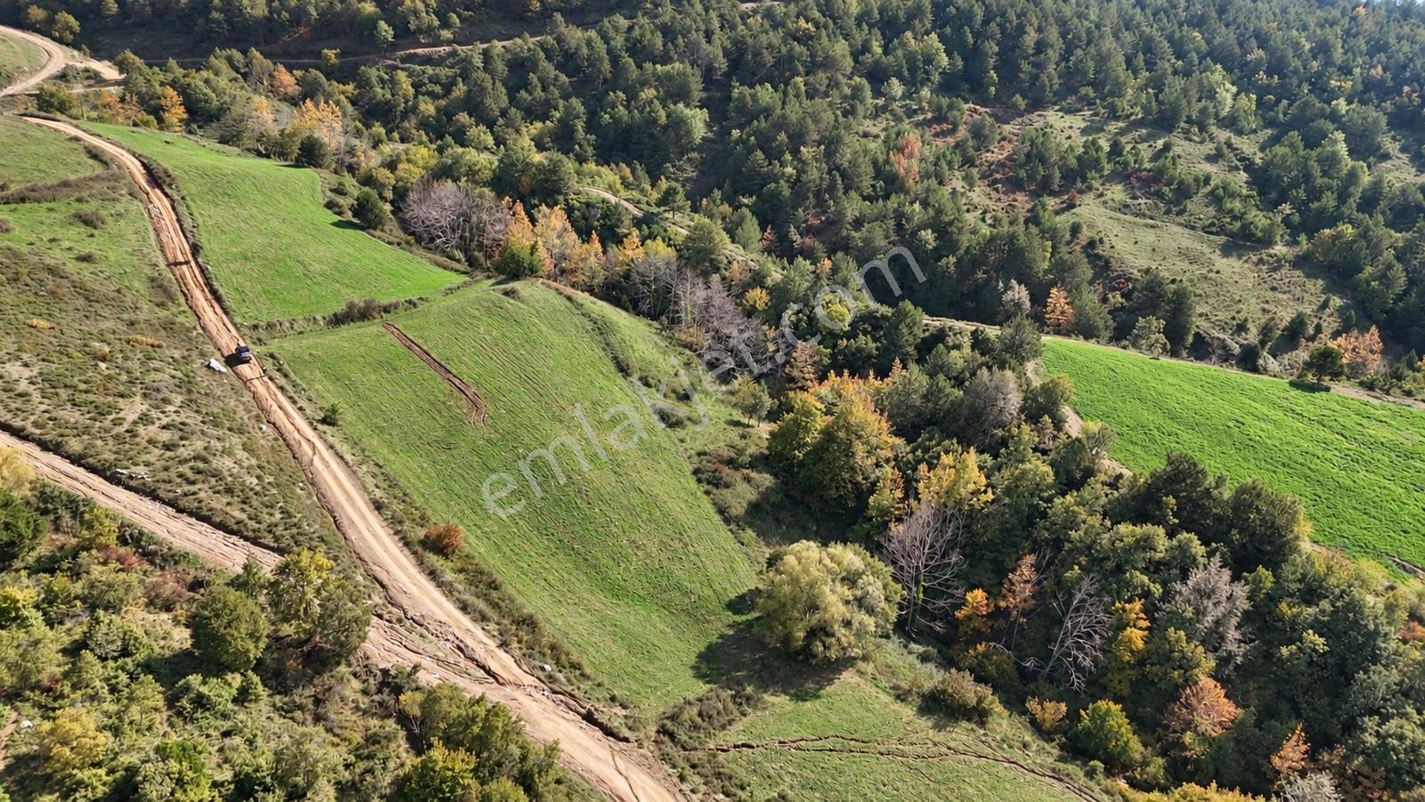 Geyve Doğantepede 6950 M2 Resmiyola Cepheli Fırsat Arazi — fotoğraf 14