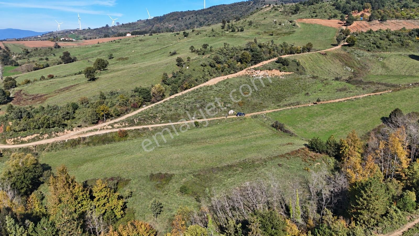 Geyve Doğantepede 6950 M2 Resmiyola Cepheli Fırsat Arazi — fotoğraf 16
