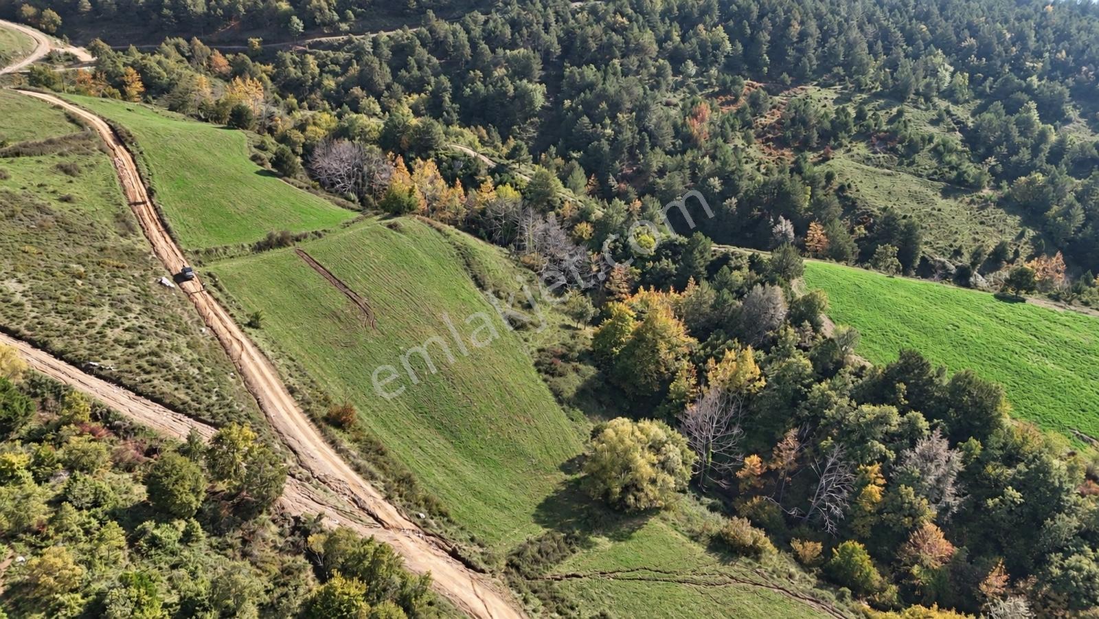 Geyve Doğantepede 6950 M2 Resmiyola Cepheli Fırsat Arazi — fotoğraf 21