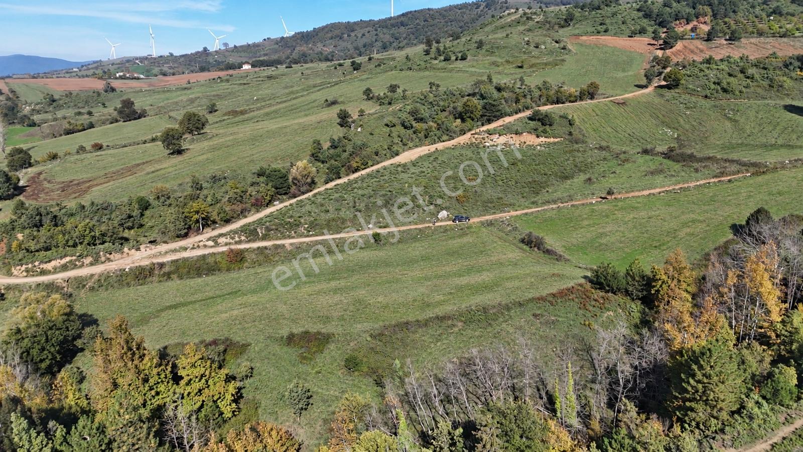Geyve Doğantepede 6950 M2 Resmiyola Cepheli Fırsat Arazi — fotoğraf 22