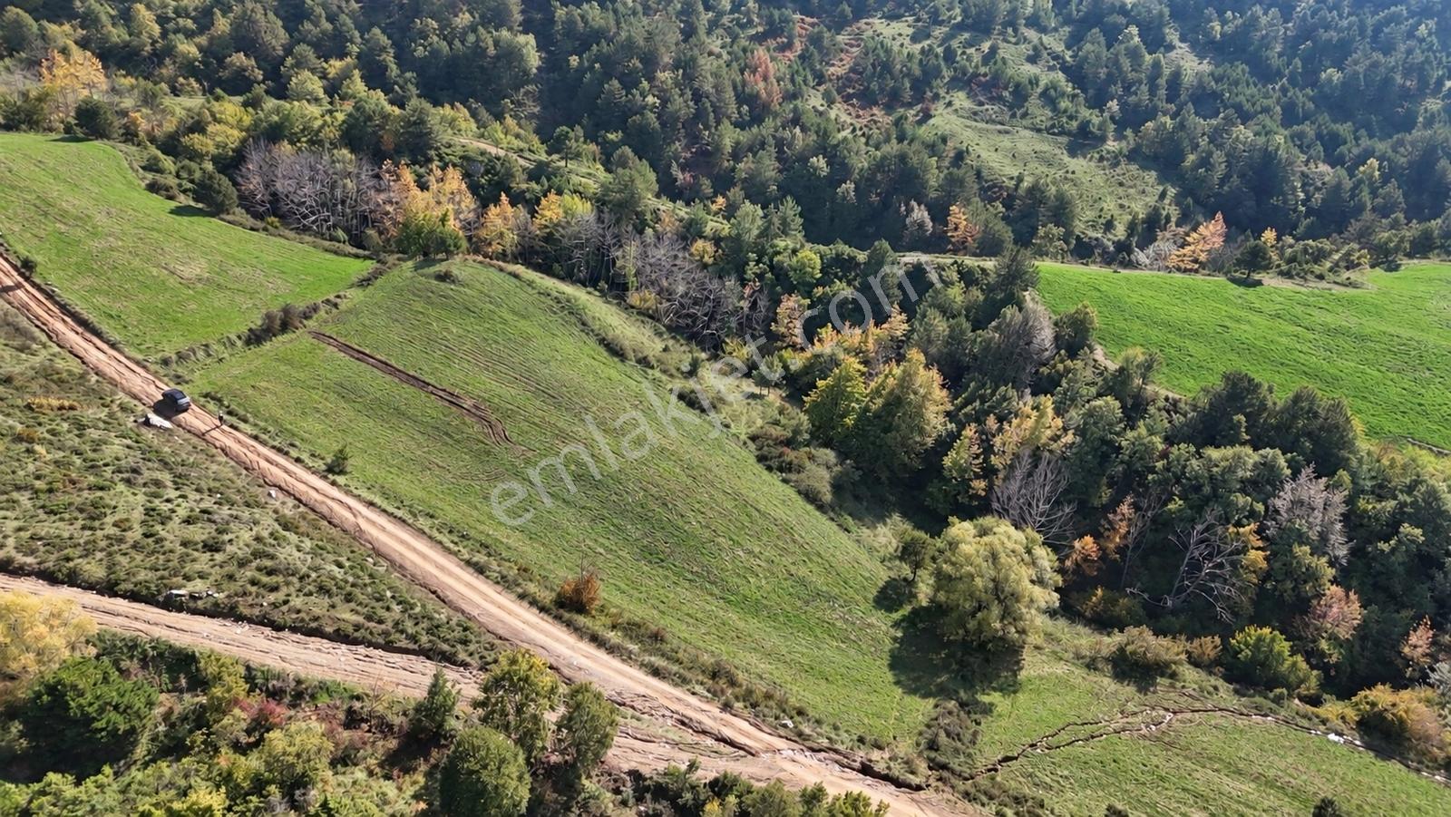 Geyve Doğantepede 6950 M2 Resmiyola Cepheli Fırsat Arazi — fotoğraf 23