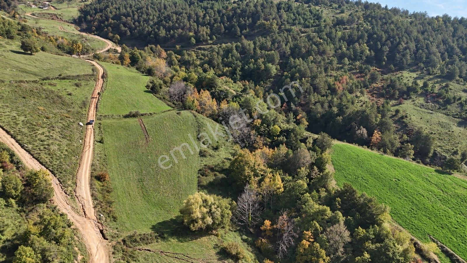 Geyve Doğantepede 6950 M2 Resmiyola Cepheli Fırsat Arazi — fotoğraf 24