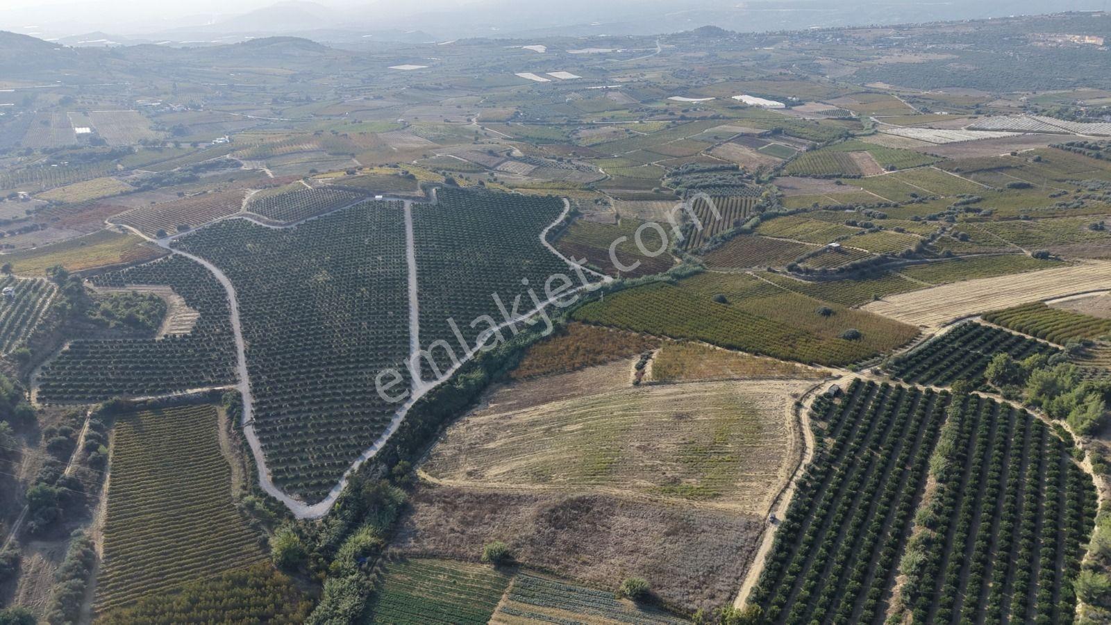 Tarsus İbrişim Mh. Satılık Tarla — fotoğraf 2