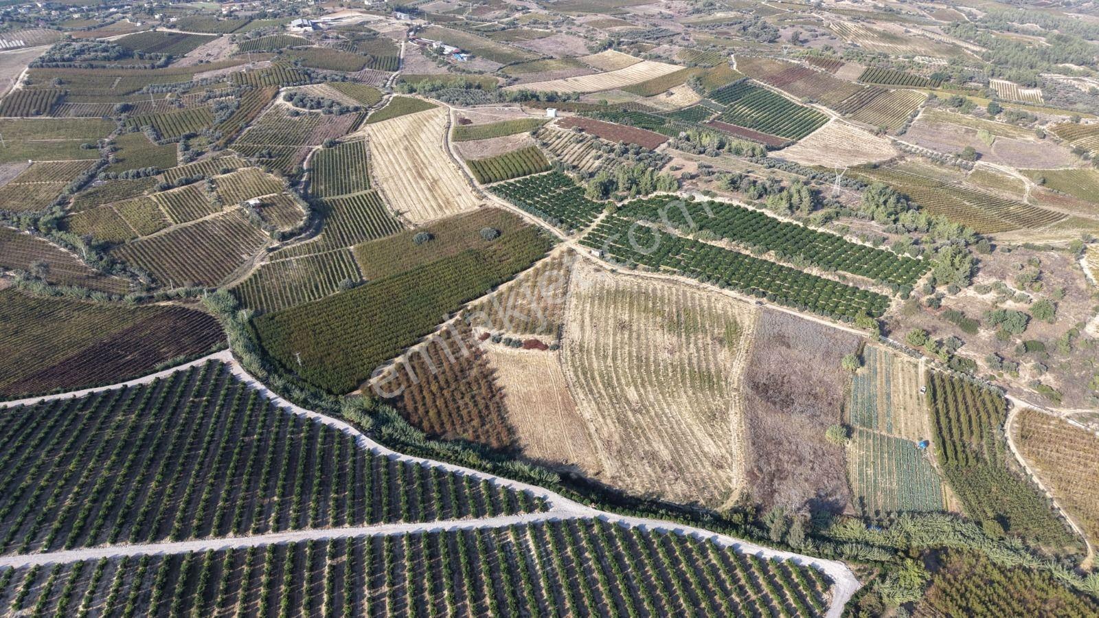 Tarsus İbrişim Mh. Satılık Tarla — fotoğraf 3