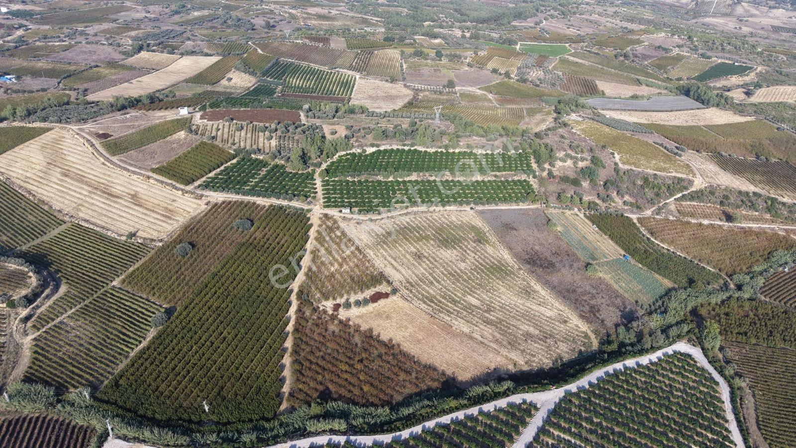 Tarsus İbrişim Mh. Satılık Tarla — fotoğraf 4