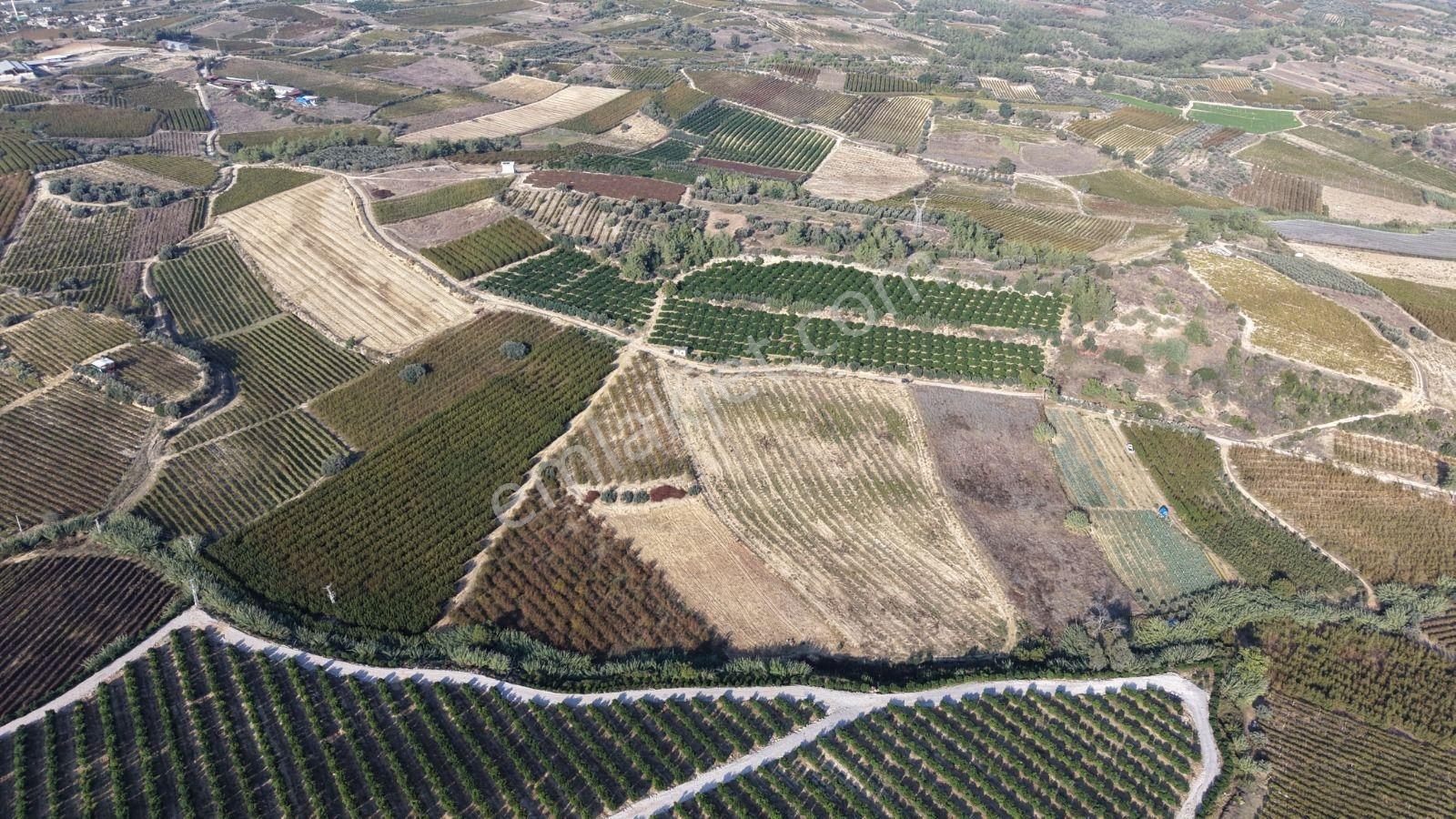 Tarsus İbrişim Mh. Satılık Tarla — fotoğraf 5