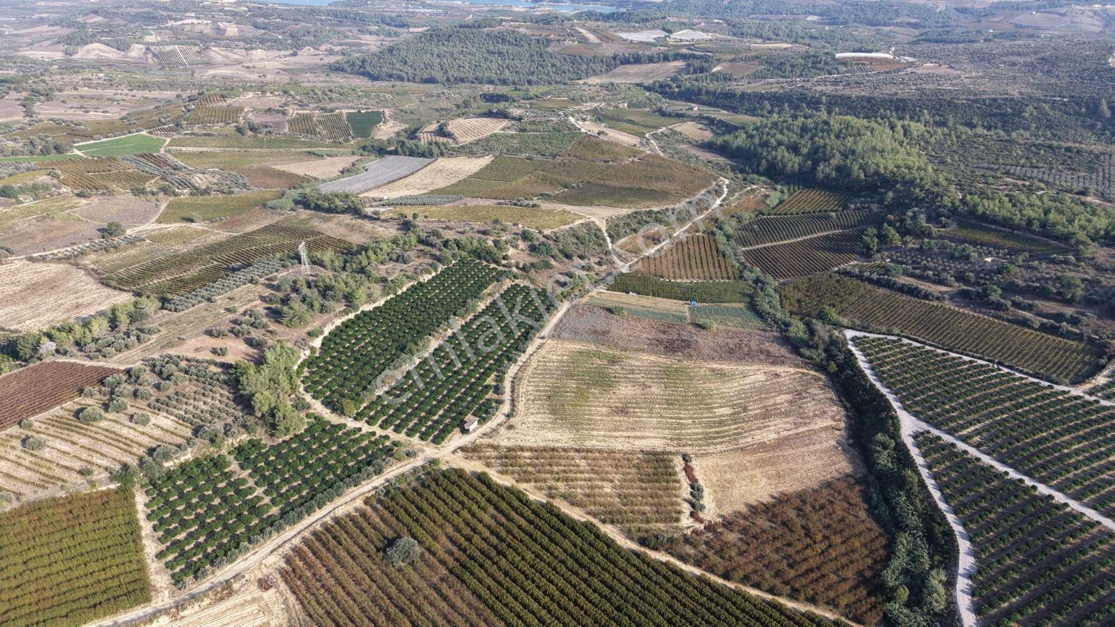 Tarsus İbrişim Mh. Satılık Tarla — fotoğraf 6