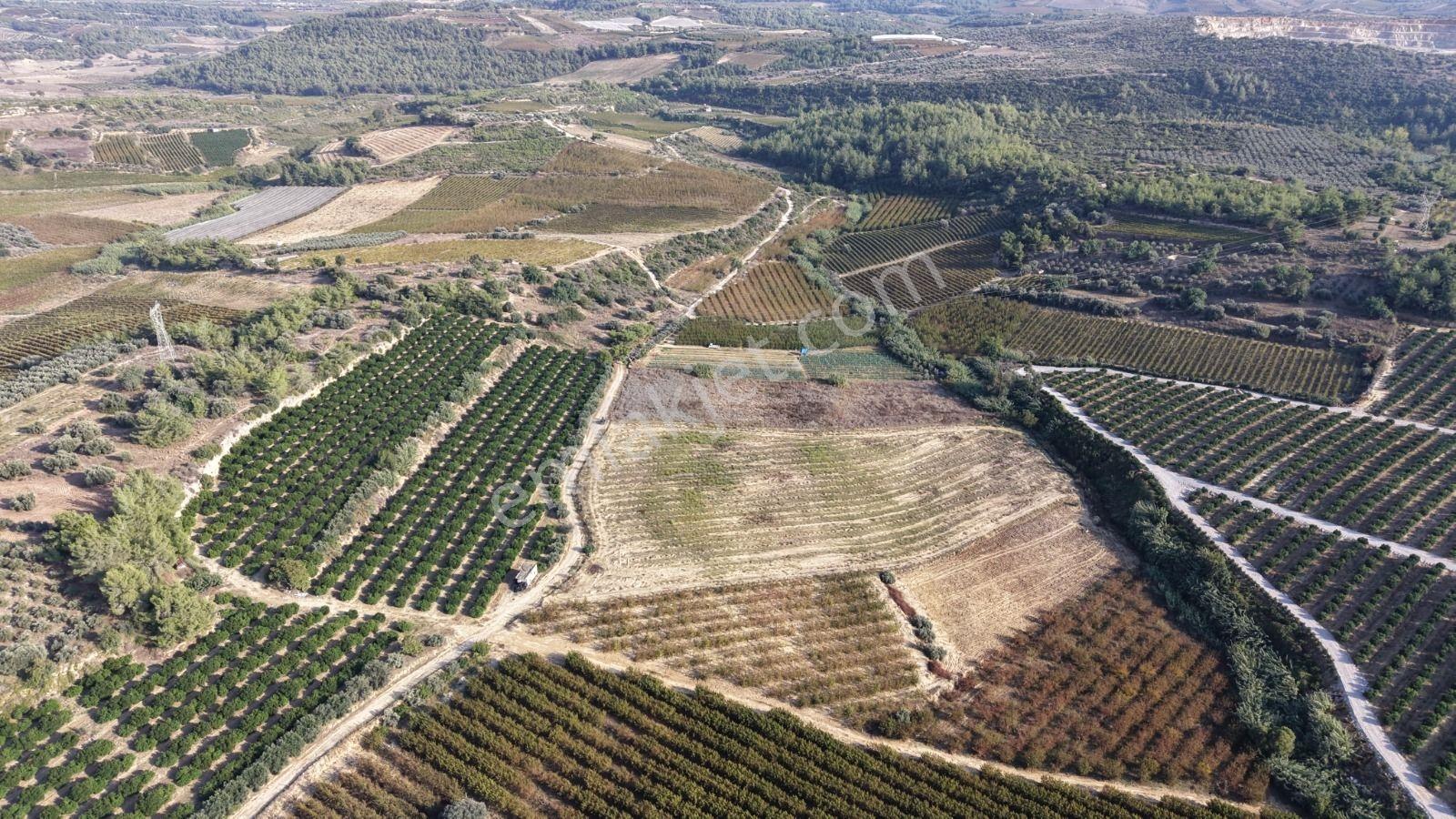 Tarsus İbrişim Mh. Satılık Tarla — fotoğraf 7