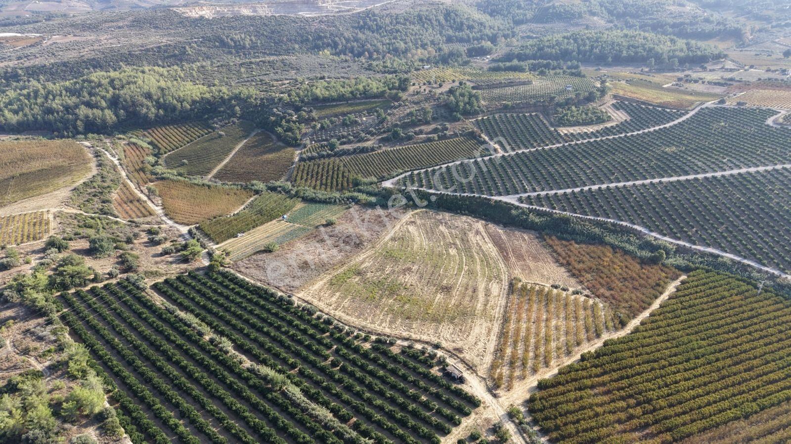 Tarsus İbrişim Mh. Satılık Tarla — fotoğraf 8