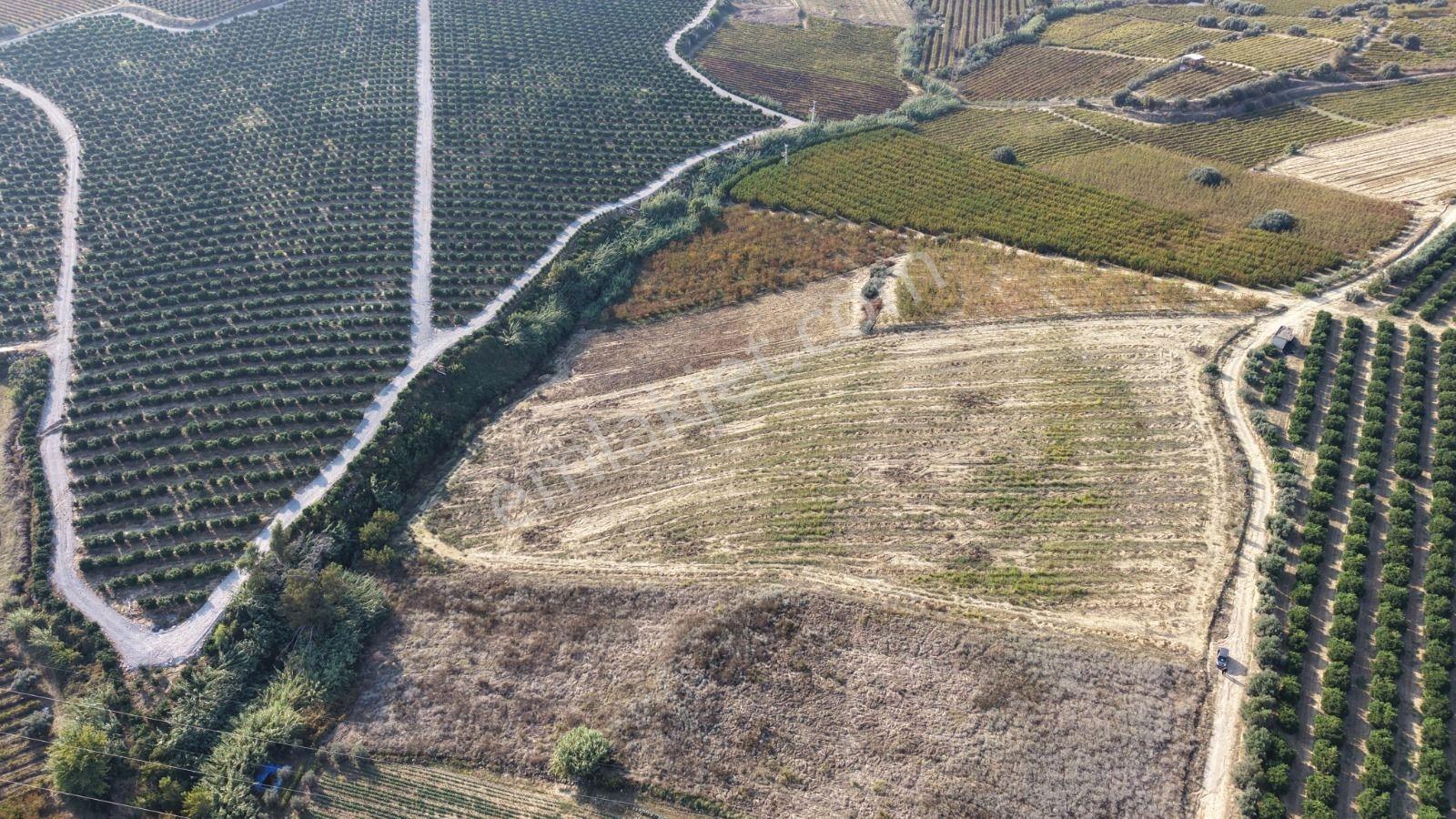Tarsus İbrişim Mh. Satılık Tarla — fotoğraf 10
