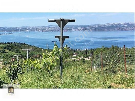 Karamürsel Oluklu'da Satılık 8.880 M² Tarla - Yatırım Fırsatı — fotoğraf 7