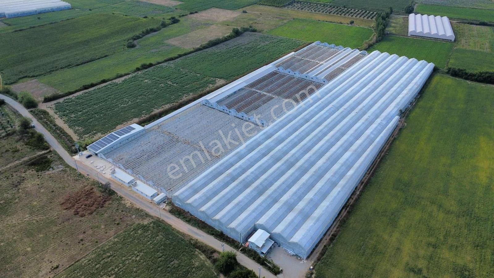 Ilıca Yeniköy'De 26 Dönüm Yatırımlık Tarla-Peşin Kira Avantajlı
