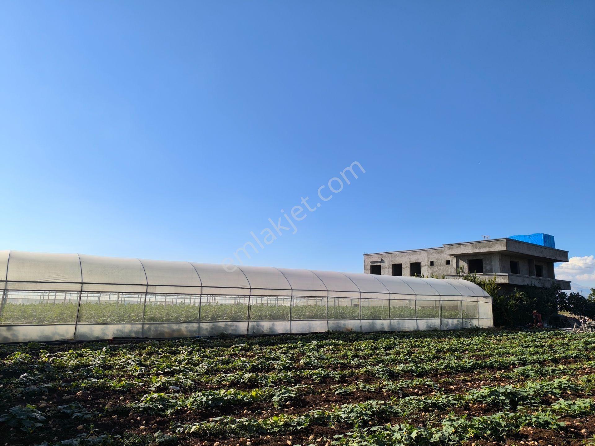 Adıyaman Hasankendide Satılık Sıfır Ev Ve Sera — fotoğraf 3