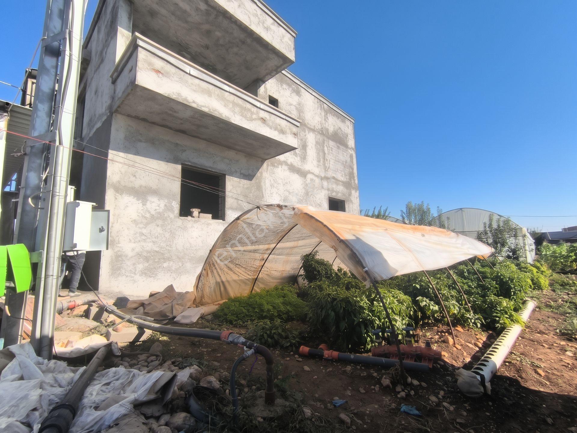 Adıyaman Hasankendide Satılık Sıfır Ev Ve Sera — fotoğraf 5