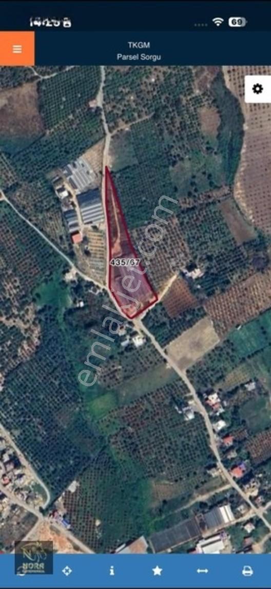 Toprağa Yatırımın Adresi Tece Çamlıbelde 5.988 M² Sera Ve Bahçe — fotoğraf 2