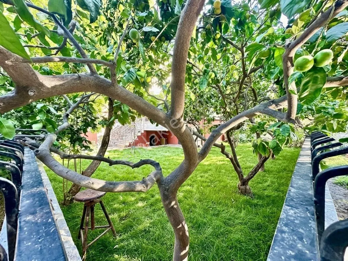 ꧁ay Emlaktan꧂geniş Bahçeli Denize 250mt Mesafede Doğalgazlı 3+1 Köşe Villa — fotoğraf 6