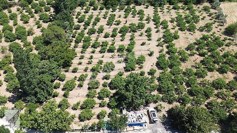 Seferihisar Ulamış Mah.izmir Caddesine 1,5 Km Mesafede Bahçe — fotoğraf 2