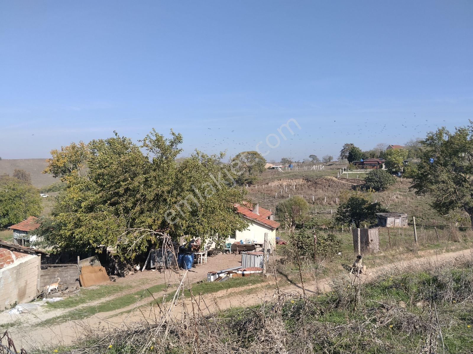 Silivri Değirmenköy'De Acil Satılık Tek Tapu 604 Metre Etrafı Çe