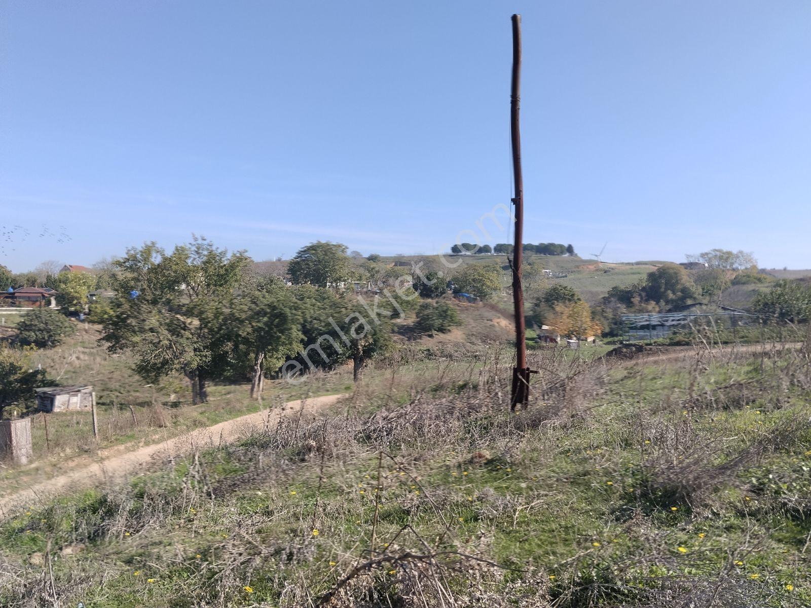 Silivri Değirmenköy'de Acil Satılık Tek Tapu 604 Metre Etrafı Çe — fotoğraf 2