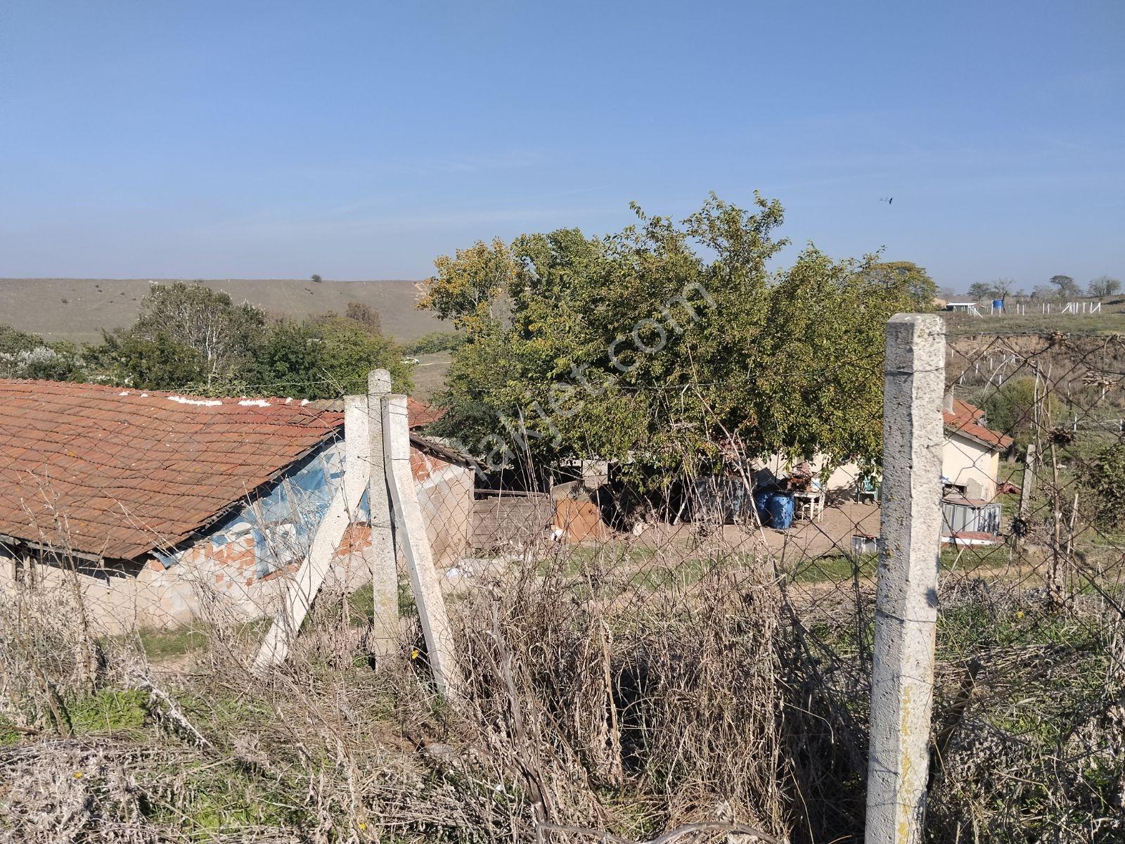 Silivri Değirmenköy'de Acil Satılık Tek Tapu 604 Metre Etrafı Çe — fotoğraf 3