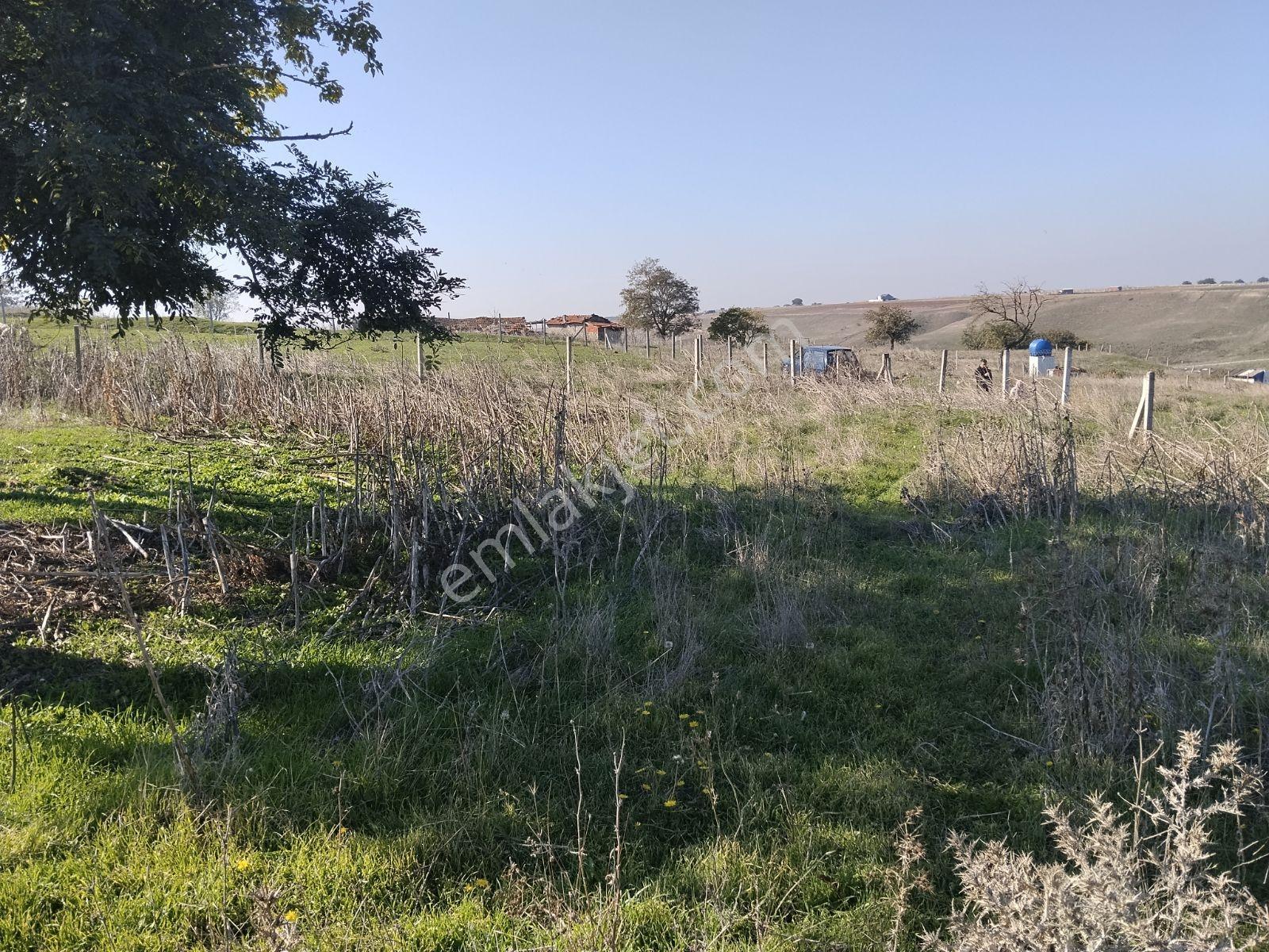 Silivri Değirmenköy'de Acil Satılık Tek Tapu 604 Metre Etrafı Çe — fotoğraf 4