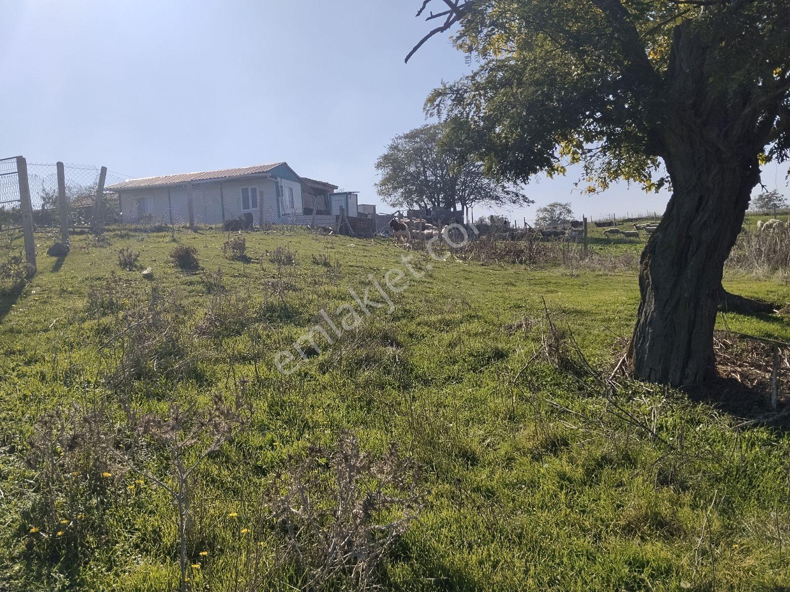 Silivri Değirmenköy'de Acil Satılık Tek Tapu 604 Metre Etrafı Çe — fotoğraf 5