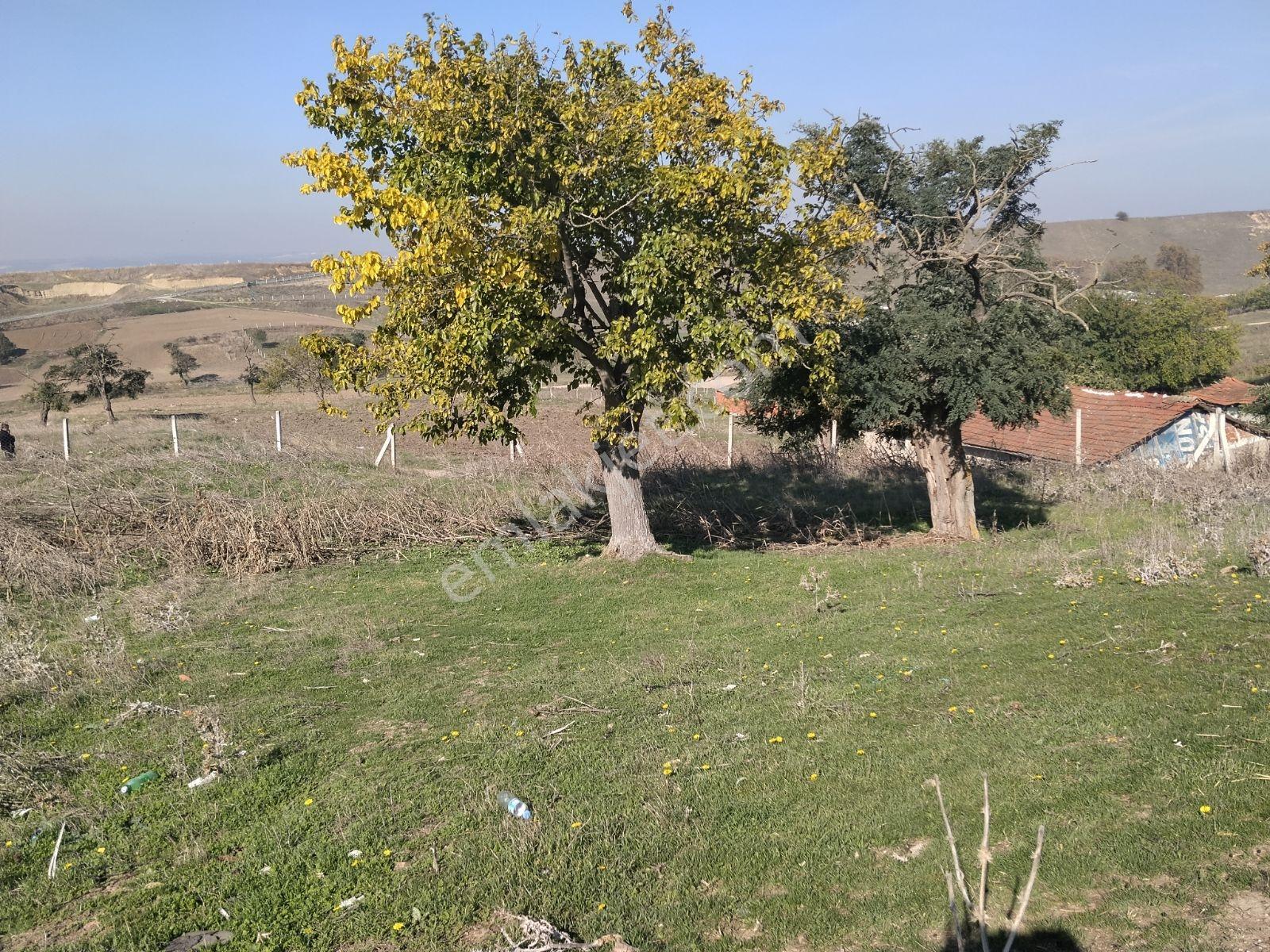 Silivri Değirmenköy'de Acil Satılık Tek Tapu 604 Metre Etrafı Çe — fotoğraf 6