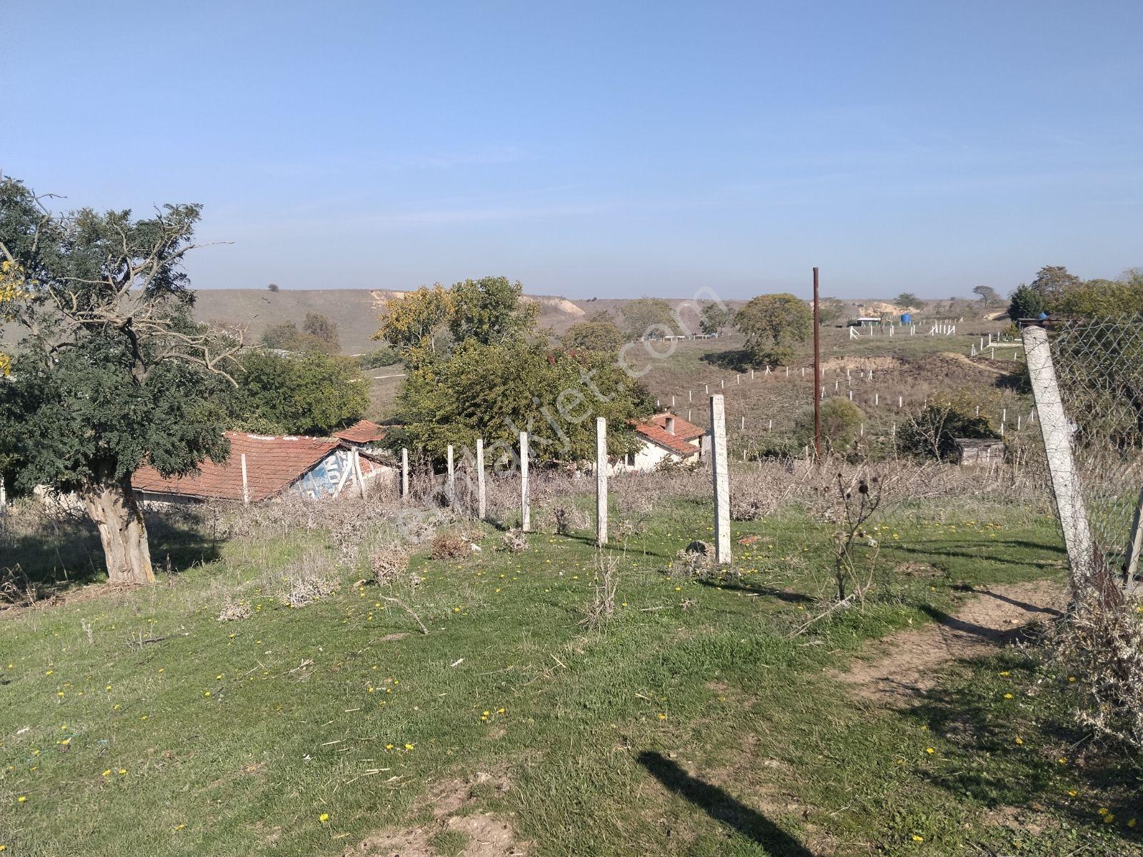 Silivri Değirmenköy'de Acil Satılık Tek Tapu 604 Metre Etrafı Çe — fotoğraf 8
