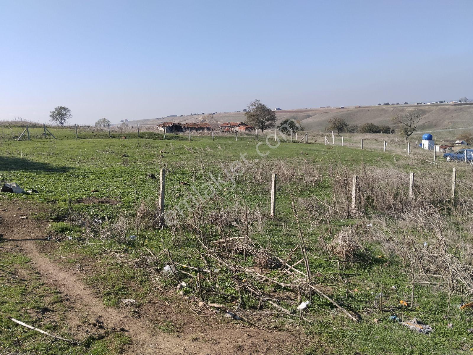 Silivri Değirmenköy'de Acil Satılık Tek Tapu 604 Metre Etrafı Çe — fotoğraf 10
