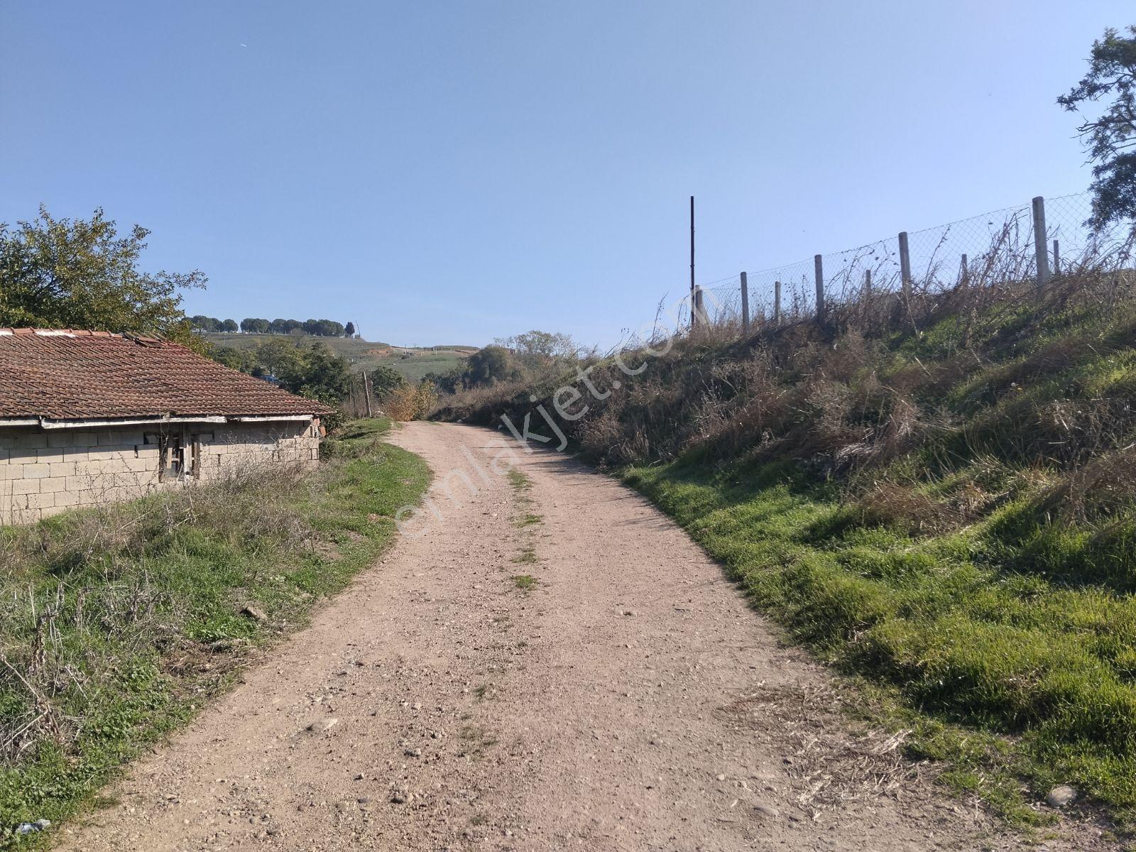 Silivri Değirmenköy'de Acil Satılık Tek Tapu 604 Metre Etrafı Çe — fotoğraf 11