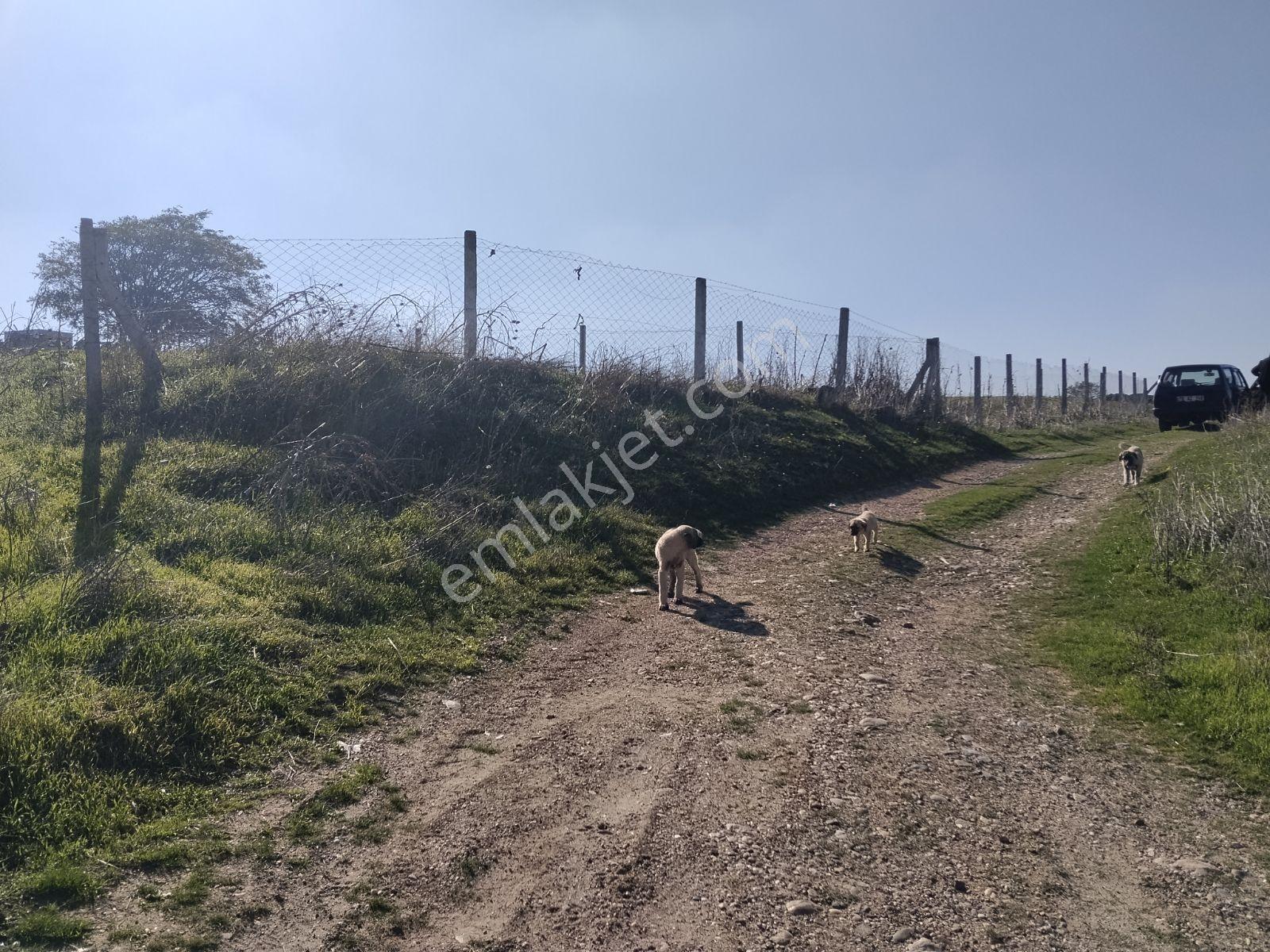 Silivri Değirmenköy'de Acil Satılık Tek Tapu 604 Metre Etrafı Çe — fotoğraf 12